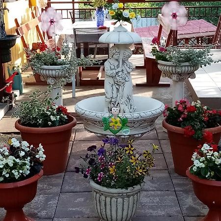 Casa Voica Διαμέρισμα Τούρντα Εξωτερικό φωτογραφία