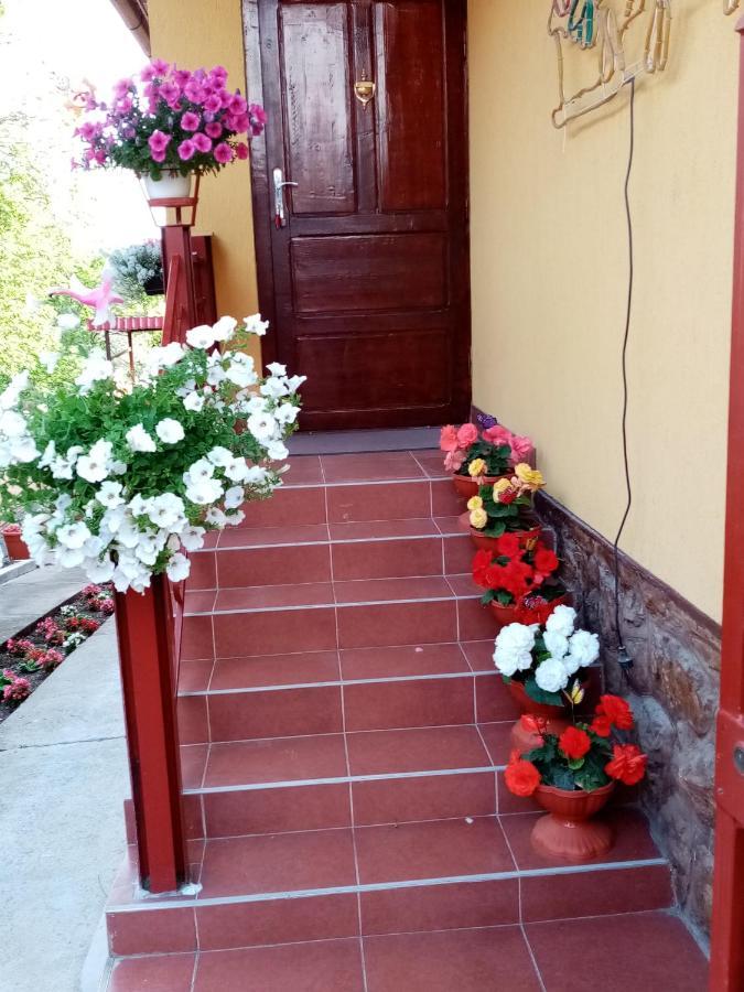 Casa Voica Διαμέρισμα Τούρντα Εξωτερικό φωτογραφία