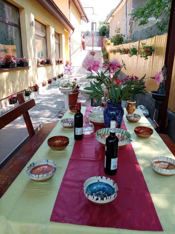 Casa Voica Διαμέρισμα Τούρντα Εξωτερικό φωτογραφία
