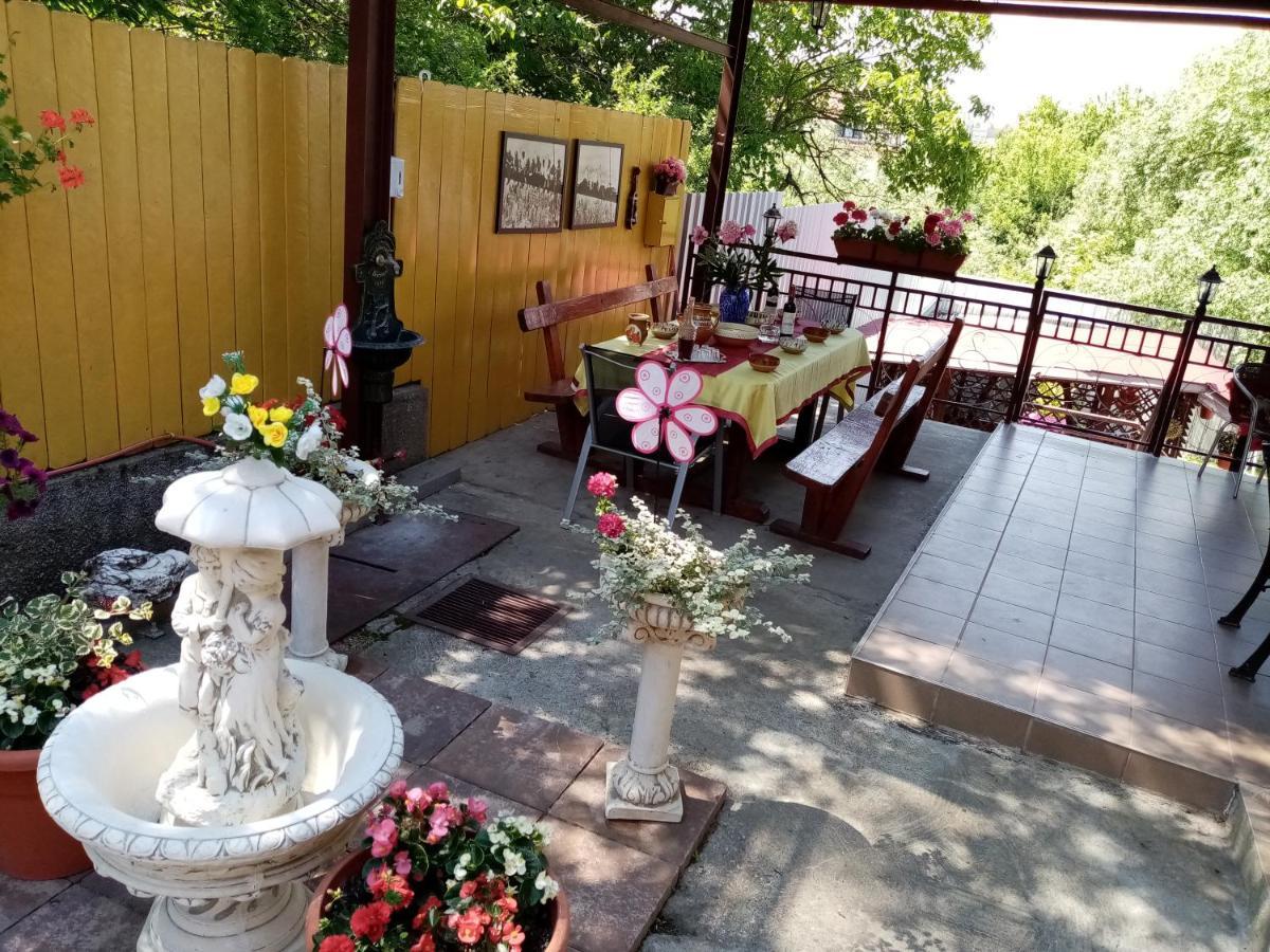 Casa Voica Διαμέρισμα Τούρντα Εξωτερικό φωτογραφία