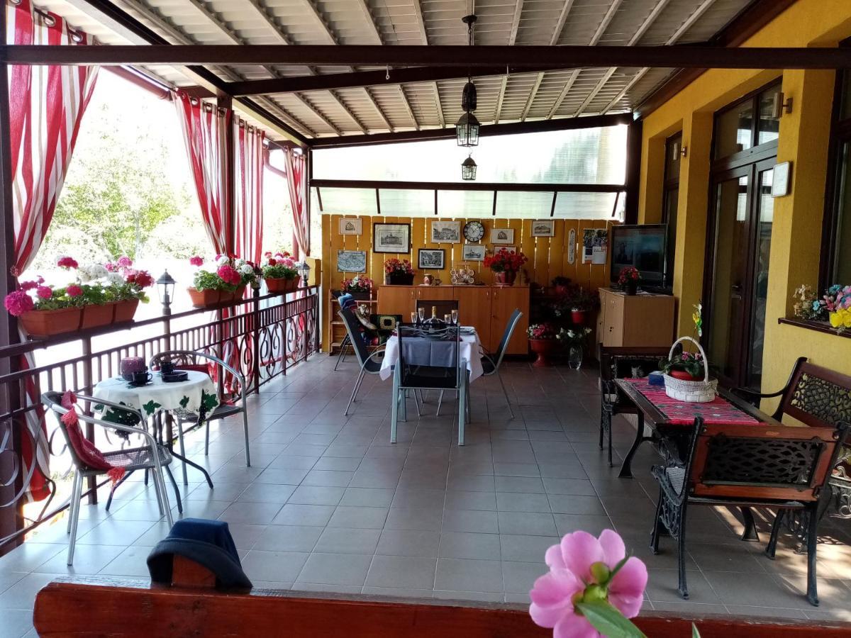 Casa Voica Διαμέρισμα Τούρντα Εξωτερικό φωτογραφία
