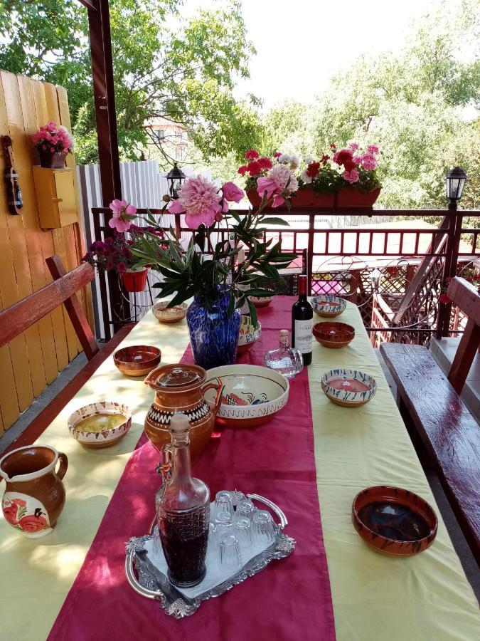 Casa Voica Διαμέρισμα Τούρντα Εξωτερικό φωτογραφία