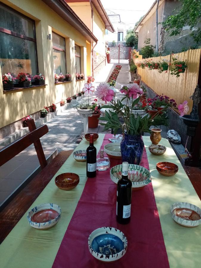 Casa Voica Διαμέρισμα Τούρντα Εξωτερικό φωτογραφία