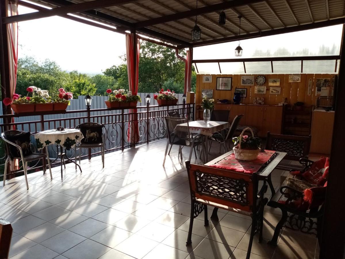 Casa Voica Διαμέρισμα Τούρντα Εξωτερικό φωτογραφία