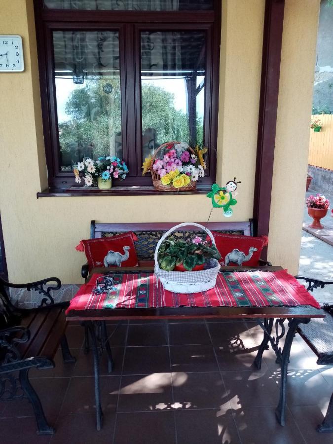 Casa Voica Διαμέρισμα Τούρντα Εξωτερικό φωτογραφία