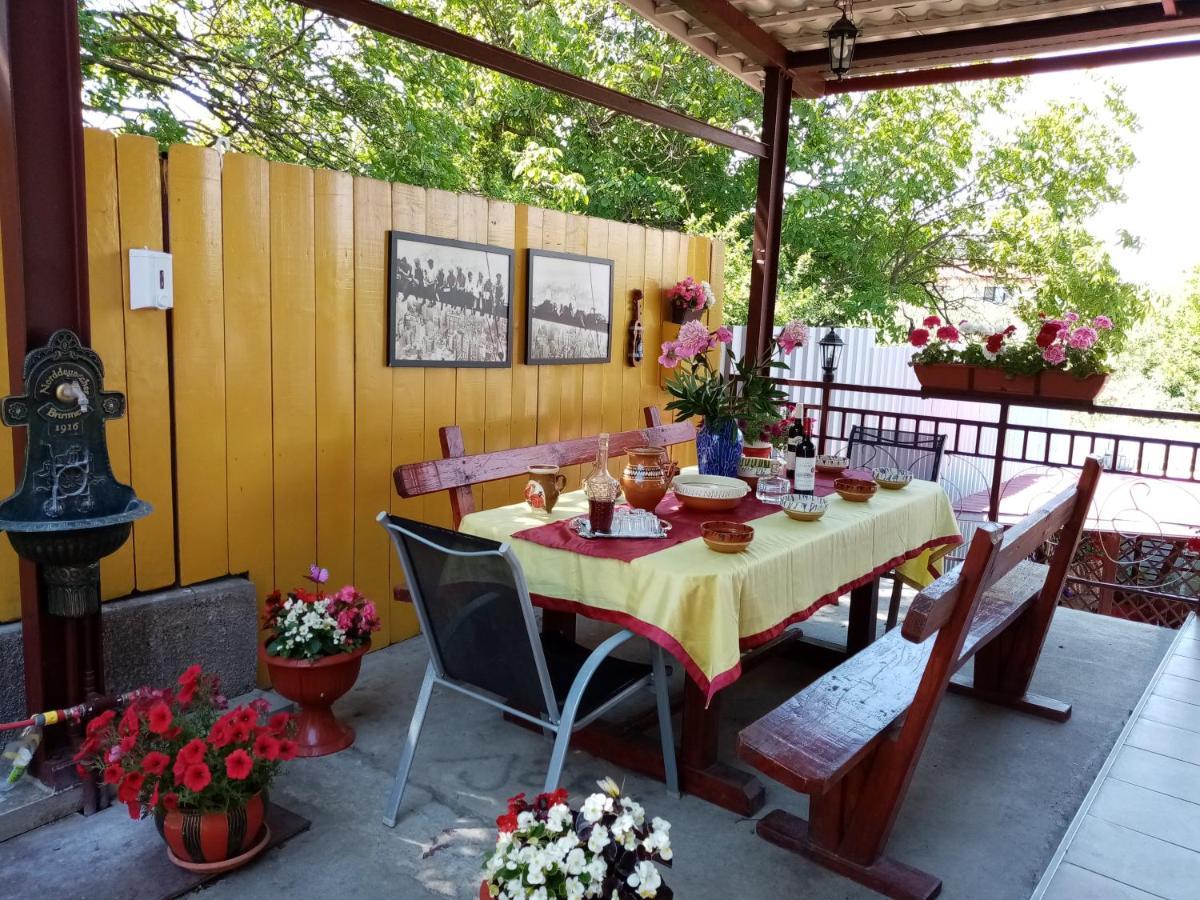 Casa Voica Διαμέρισμα Τούρντα Εξωτερικό φωτογραφία