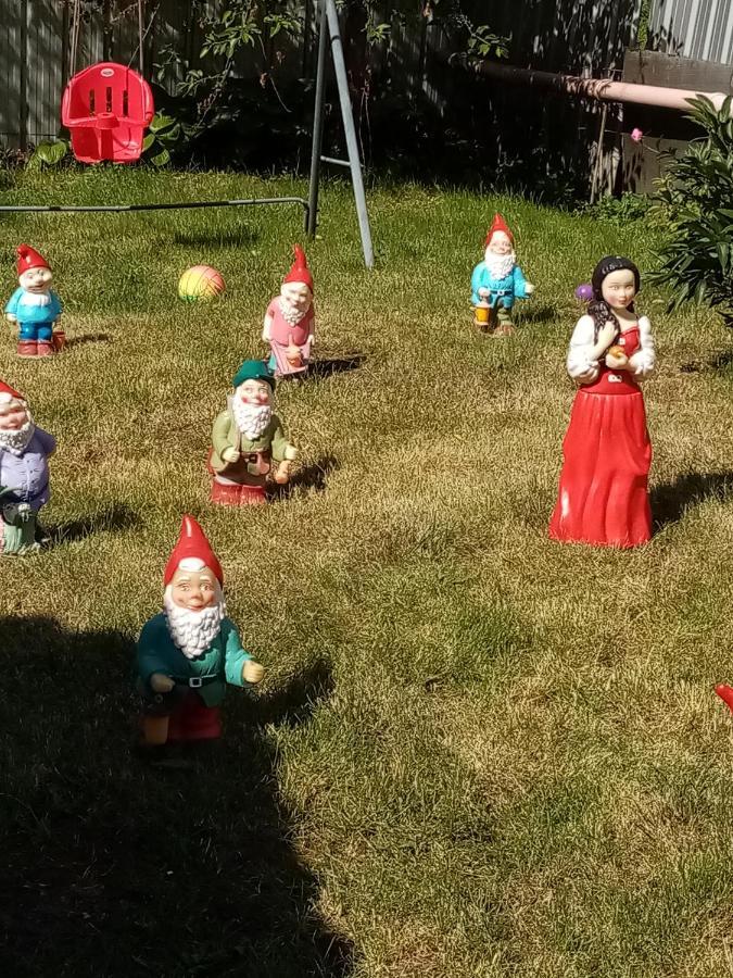 Casa Voica Διαμέρισμα Τούρντα Εξωτερικό φωτογραφία