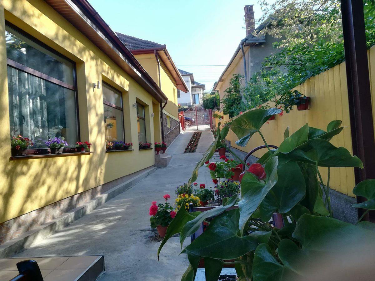 Casa Voica Διαμέρισμα Τούρντα Εξωτερικό φωτογραφία