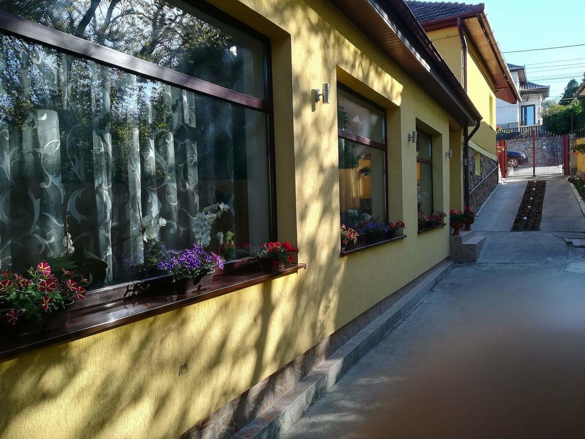 Casa Voica Διαμέρισμα Τούρντα Εξωτερικό φωτογραφία